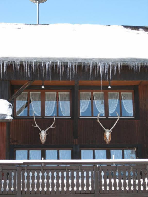Schwarzwaldgasthof Hotel Hirschen Ibach Экстерьер фото