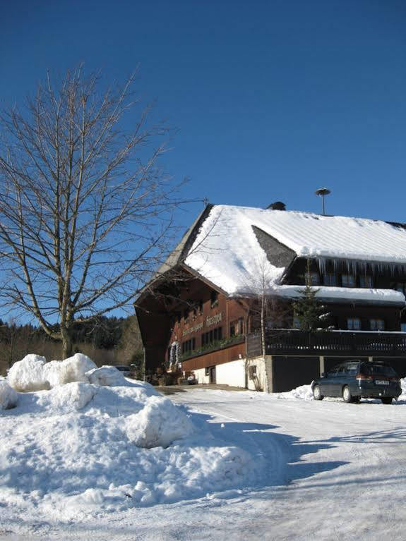 Schwarzwaldgasthof Hotel Hirschen Ibach Экстерьер фото